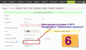 myfxbook6